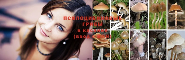 СК Богданович