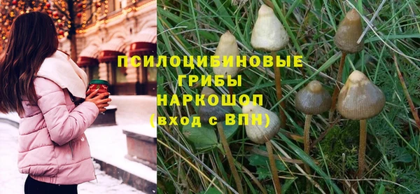 СК Богданович