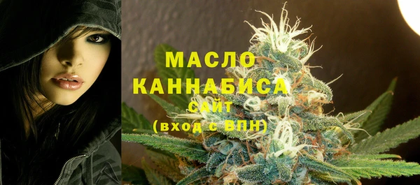 МДПВ Богородск