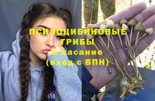 МДПВ Богородск