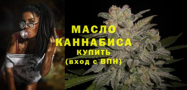 МДПВ Богородск