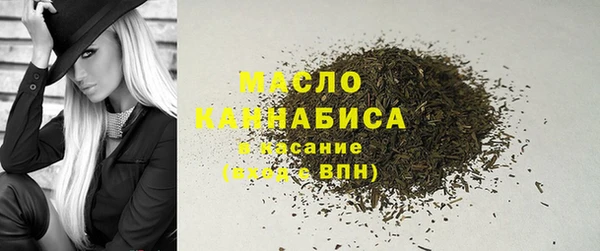 МДПВ Богородск