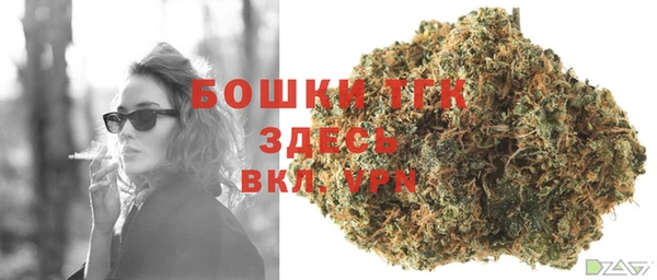 СК Богданович