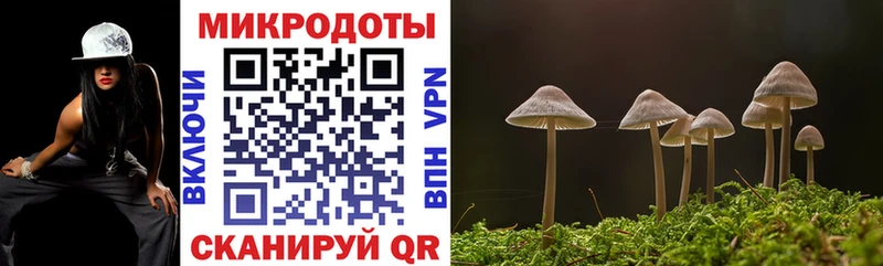 Галлюциногенные грибы Psilocybine cubensis  Егорьевск 