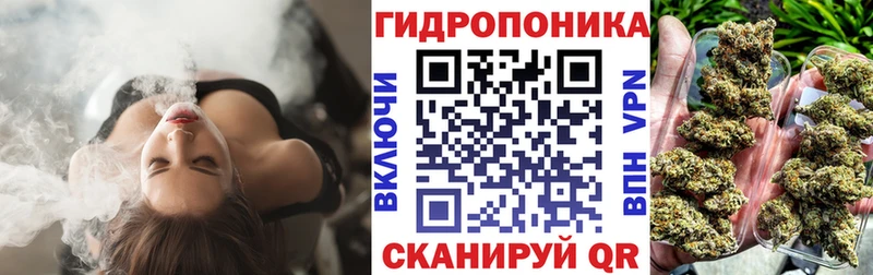 Бошки Шишки марихуана наркошоп Егорьевск